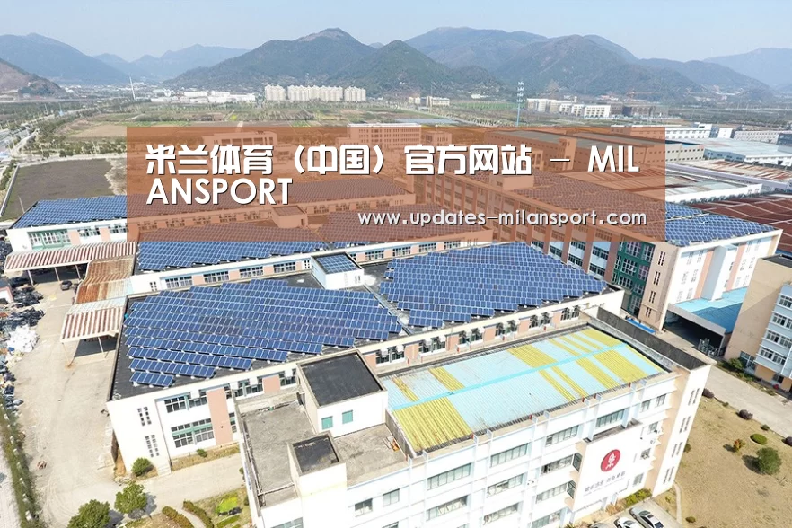 案例展示四