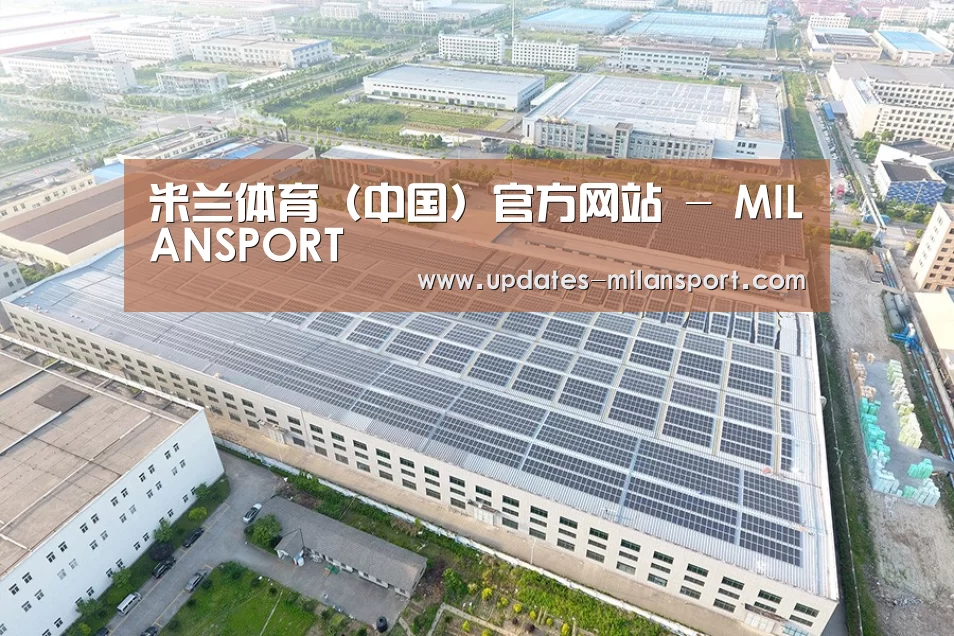 案例展示三