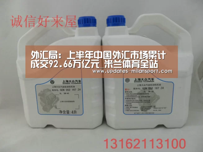 外汇局:上半年中国外汇市场累计成交92.66万亿元_米兰体育全站(图3) 米兰体育app下载安装
